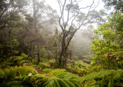 20120306-Lava_tube-008