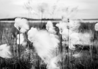 20180724-Arjeplog-027