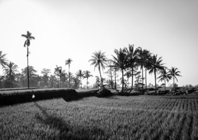 20190707-Paddies_hostel-070-Edit