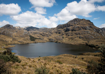 20221112-Cajas-001