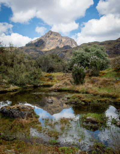 20221112-Cajas-019