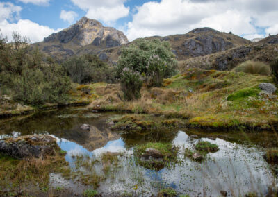 20221112-Cajas-021