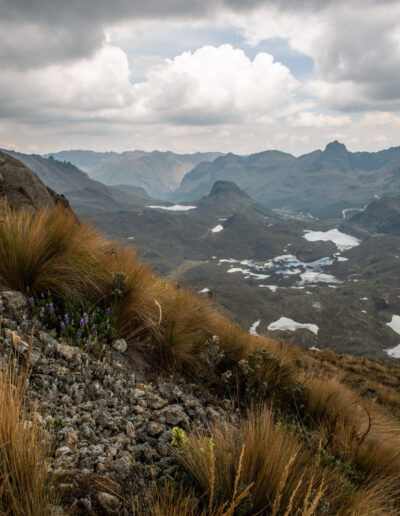 20221112-Cajas_national_Park-068
