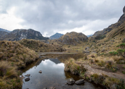 20221112-Cajas_national_Park-095