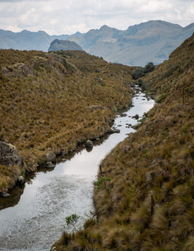 20221112-Cajas_national_Park-108