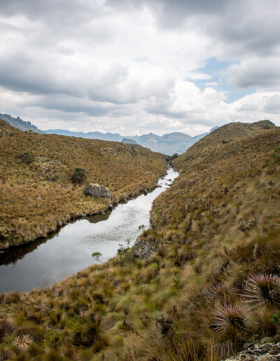 20221112-Cajas_national_Park-112