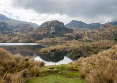 20221112-Cajas_national_Park-117