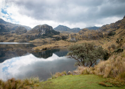 20221112-Cajas_national_Park-125