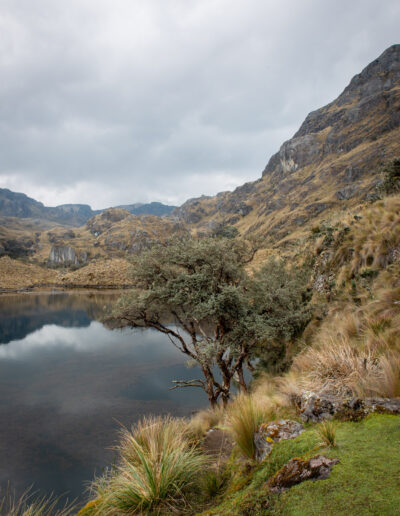 20221112-Cajas_national_Park-128