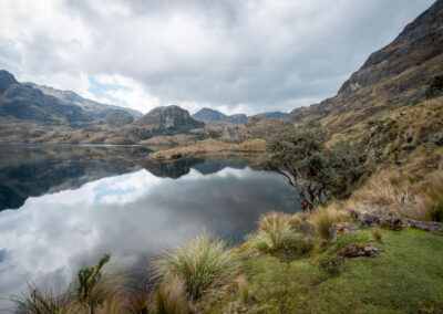 20221112-Cajas_national_Park-131