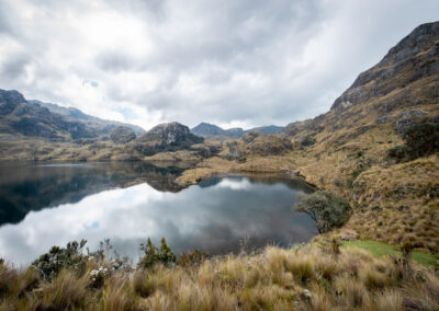 20221112-Cajas_national_Park-136