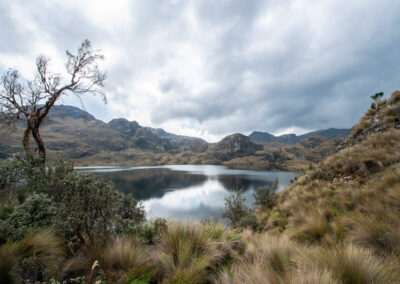 20221112-Cajas_national_Park-139