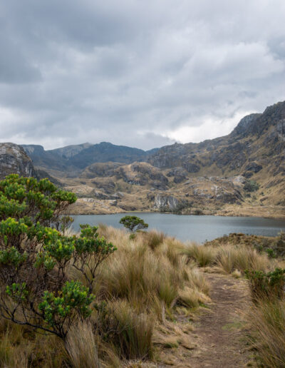 20221112-Cajas_national_Park-174