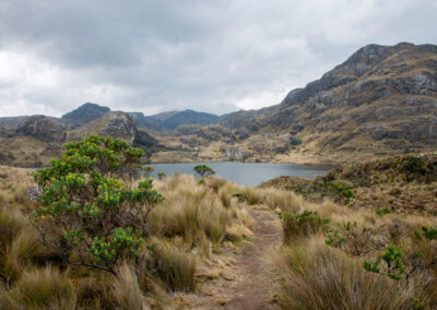 20221112-Cajas_national_Park-176