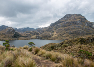 20221112-Cajas_national_Park-183