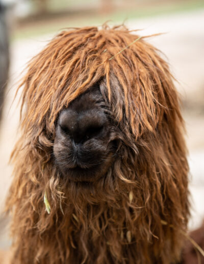 20221209-opname zonder titel-031