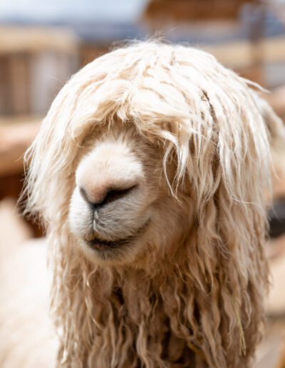 20221209-opname zonder titel-037