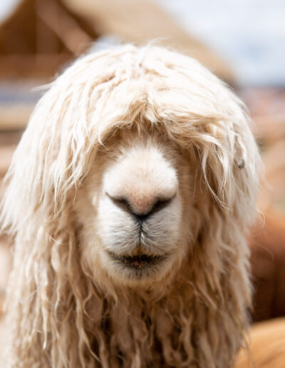 20221209-opname zonder titel-038